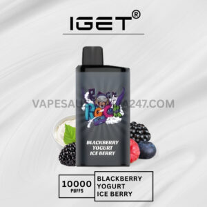 IGET Bar Pro 10000 Puffs Blackberry Ice