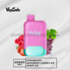 Vapsolo Twins 20000 Puffs Strawberry Raspberry Cherry Ice Grape Ice