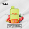 Vapsolo Twins 20000 Puffs Watermelon Ice Mixed Berry