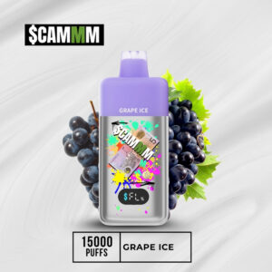 $CAMM AS 15000 Puffs Grape Ice