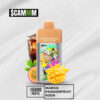 $CAMM AS 15000 Puffs Mango Passion Fruit Soda